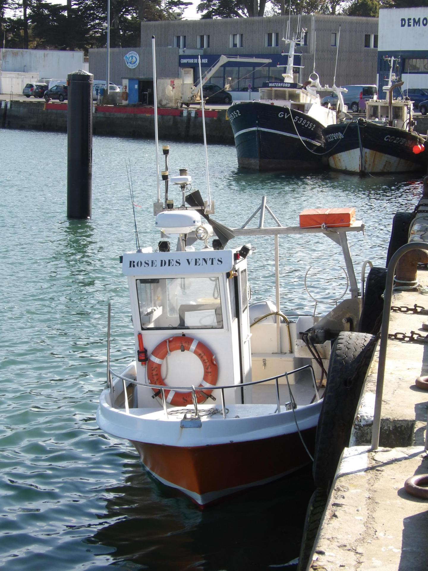 251014 rose des vents a