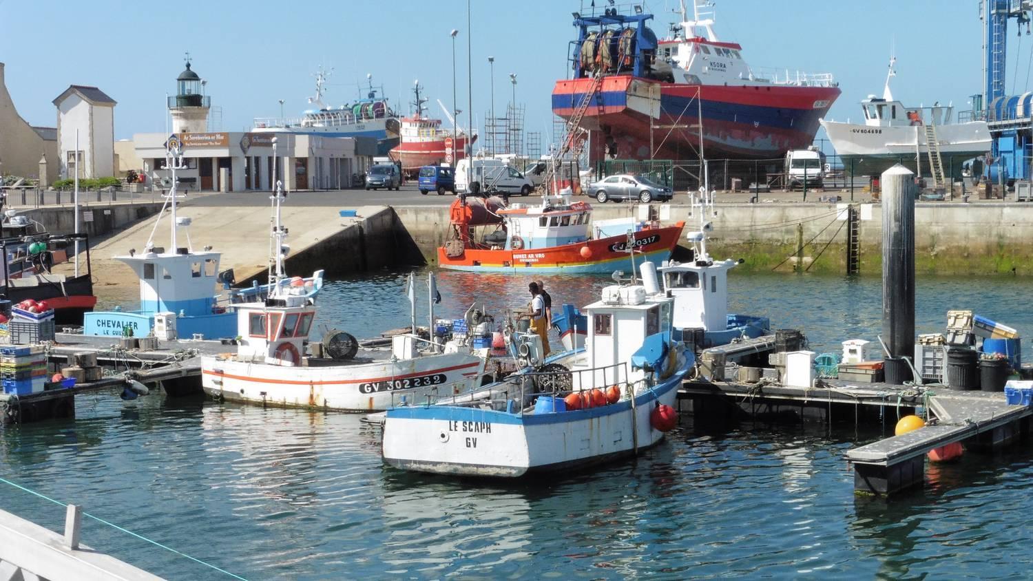 Le scaph port lechiagat alain gourret